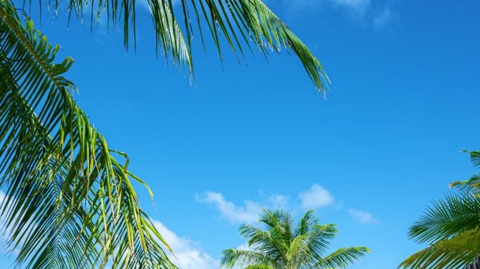 beach-2