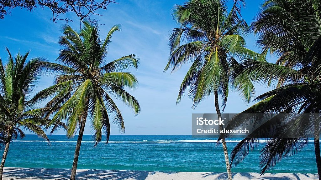 beach-1